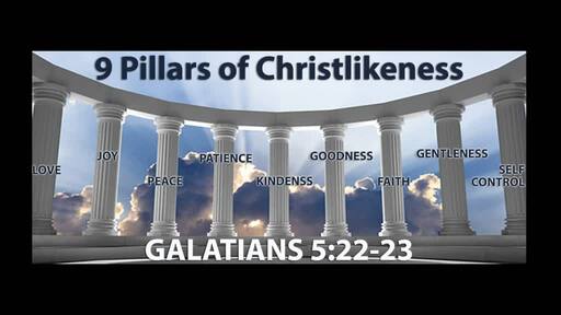 9 Pillars of Chirstliness