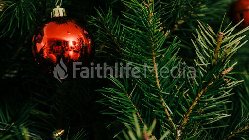 Red Christmas Ornament