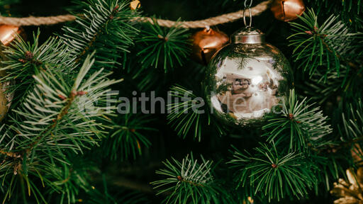 Christmas Tree Close-Up