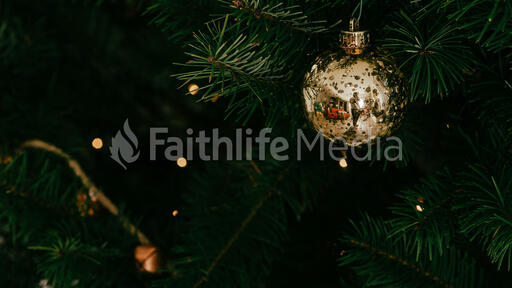 Christmas Ornament