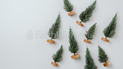 Scattered Christmas Trees