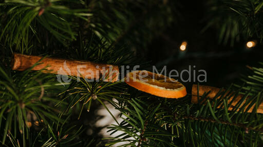 Christmas Tree Close-Up