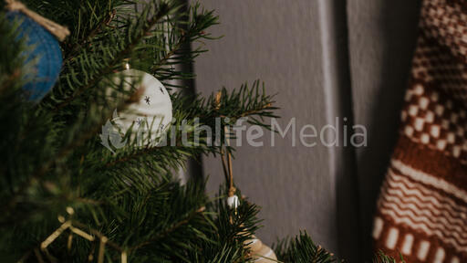 Christmas Tree Close-Up