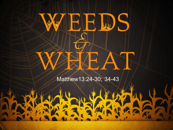 weeds-wheat-logos-sermons