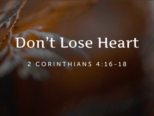 Don't Lose Heart