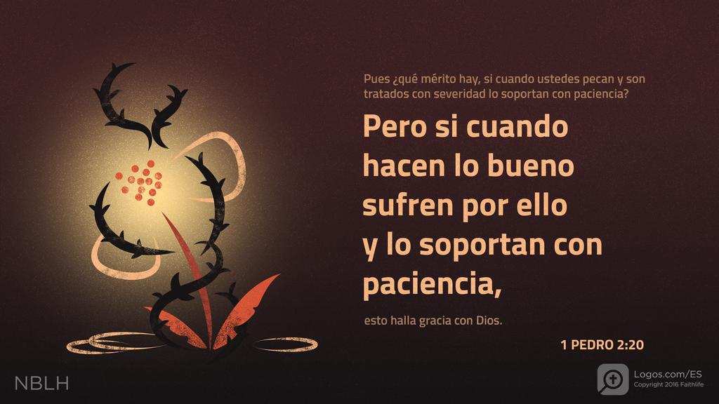1 Pedro 2:20: Pues ¿qué mérito hay, si cuando ustedes pecan y son tratados con severidad lo soportan con paciencia? Pero si cuando hacen lo bueno sufren por ello y lo soportan con paciencia, esto halla gracia con Dios.