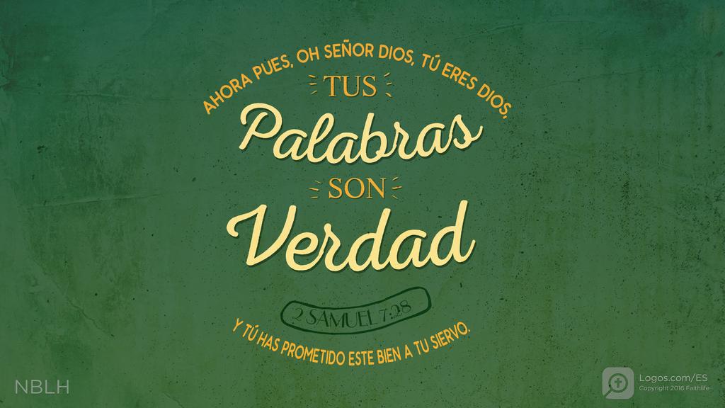 2º Samuel 7:28: AHORA PUES, OH SEÑOR DIOS, TÚ ERES DIOS, TUS PALABRAS SON VERDAD Y TÚ HAS PROMETIDO ESTE BIEN A TU SIERVO.