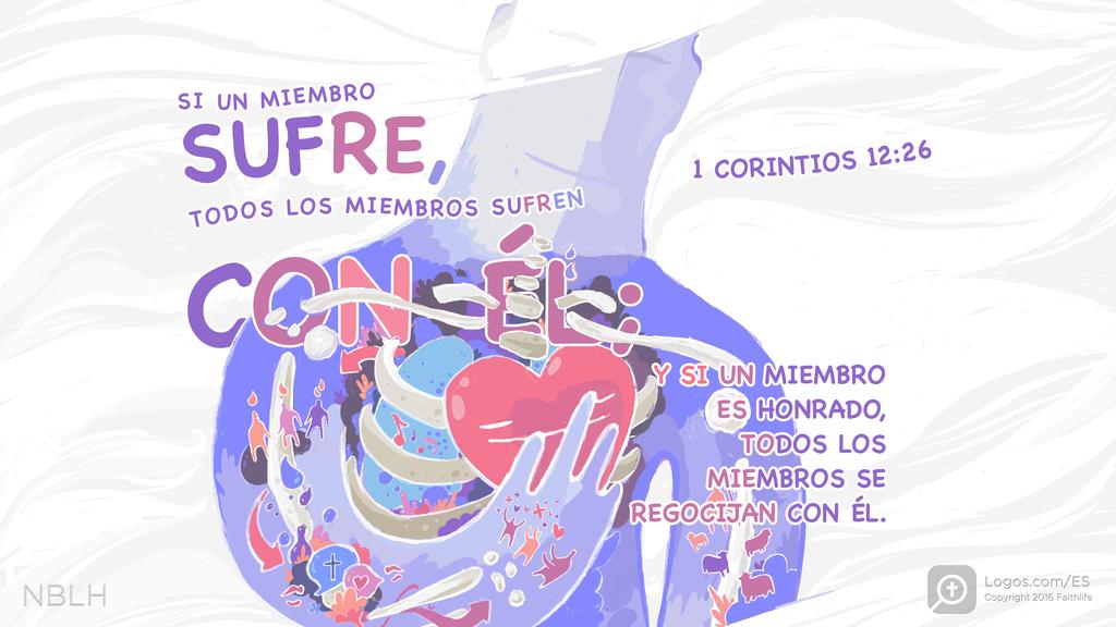 1 Corintios 12:26: SI UN MIEMBRO SUFRE, TODOS LOS MIEMBROS SUFREN CON ÉL; Y SI UN MIEMBRO ES HONRADO, TODOS LOS MIEMBROS SE REGOCIJAN CON ÉL.