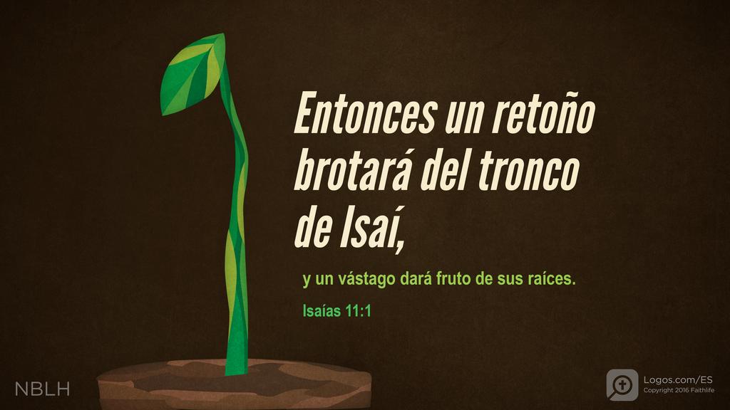 Isaías 11:1: Entonces un retoño brotará del tronco de Isaí, y un vástago dará fruto de sus raíces.