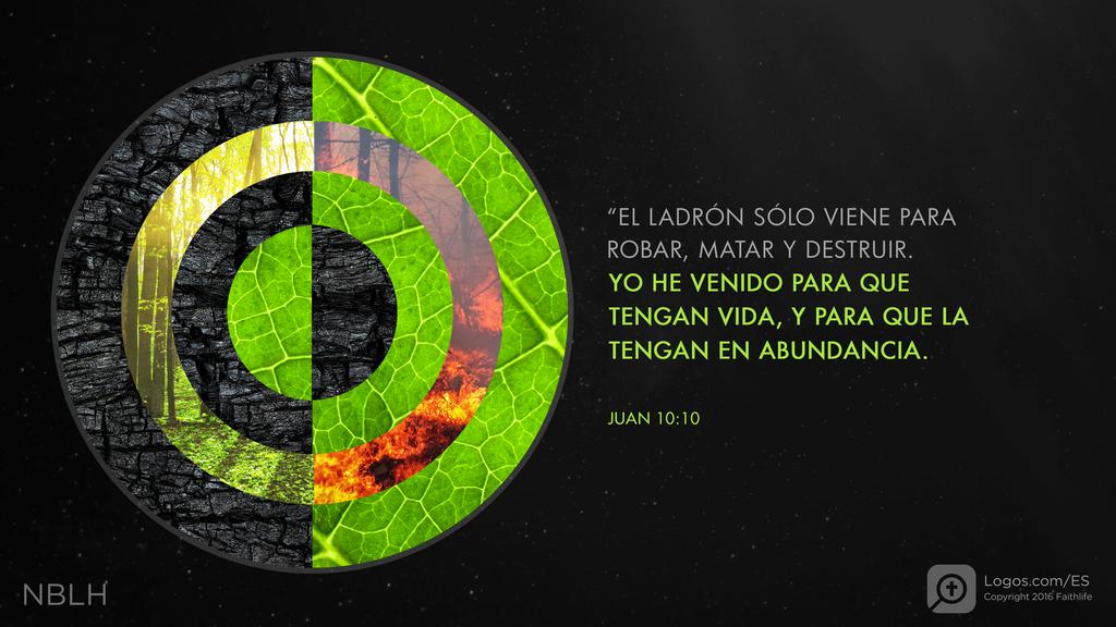 Juan 10:10: “EL LADRÓN SÓLO VIENE PARA ROBAR, MATAR Y DESTRUIR. YO HE VENIDO PARA QUE TENGAN VIDA, Y PARA QUE LA TENGAN EN ABUNDANCIA.