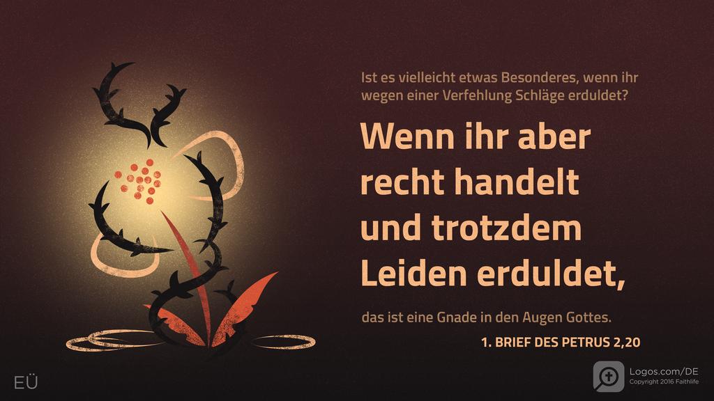 1. Petrus 2,20: Ist es vielleicht etwas Besonderes, wenn ihr wegen einer Verfehlung Schläge erduldet? Wenn ihr aber recht handelt und trotzdem Leiden erduldet, das ist eine Gnade in den Augen Gottes.
