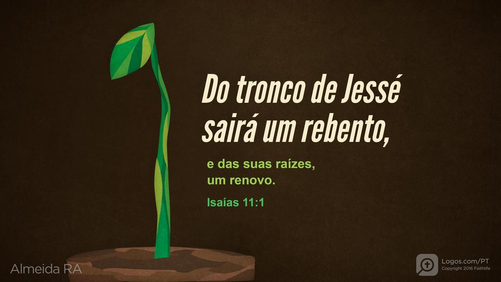 Isaías 11.1: Do tronco de Jessé sairá um rebento, e das suas raízes, um renovo.