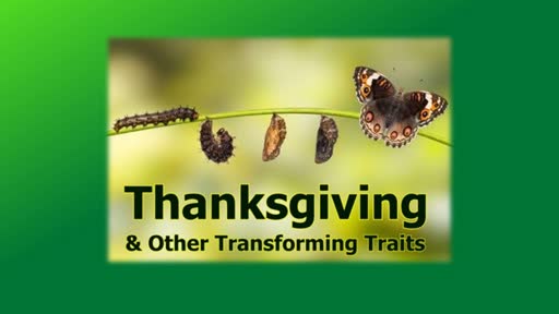 Thanksgiving and Other Transforming Traits
