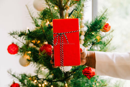 Woman Holding a Present in Front of the Christmas Tree