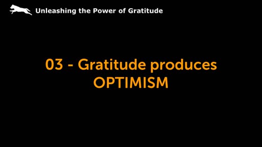 03 - Gratitude produces OPTIMISM
