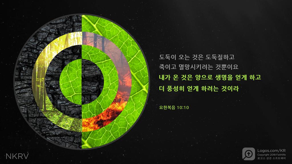 요한복음 10:10: 도둑이 오는 것은 도둑질하고 죽이고 멸망시키려는 것뿐이요 내가 온 것은 양으로 생명을 얻게 하고 더 풍성히 얻게 하려는 것이라
