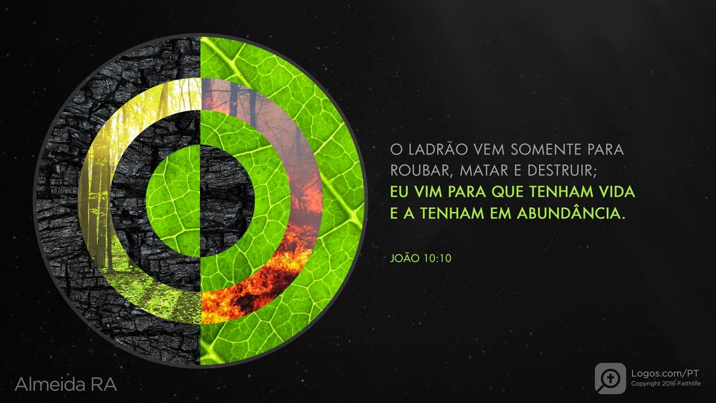 João 10.10: O LADRÃO VEM SOMENTE PARA ROUBAR, MATAR E DESTRUIR; EU VIM PARA QUE TENHAM VIDA E A TENHAM EM ABUNDÂNCIA.
