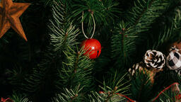 Christmas Tree  image 1