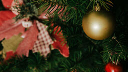 Christmas Tree  image 4