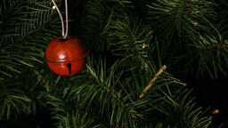 Red Christmas Ornament  image 4