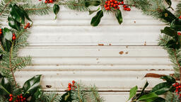 Border of Pinecones  image 2