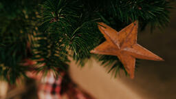 Rusty Star Ornament  image 2