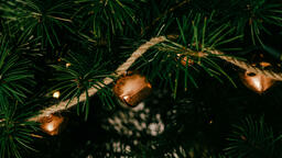 Christmas Tree Close-Up  image 3