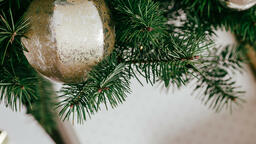 Christmas Tree Close-Up  image 5