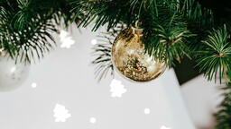 Christmas Tree Close-Up  image 1
