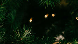 Christmas Ornament  image 2
