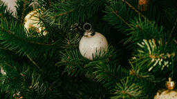Christmas Tree Close-Up  image 4
