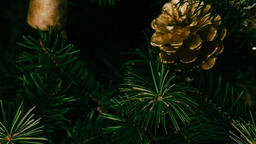 Christmas Ornament  image 3