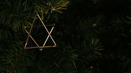 Christmas Tree Close-Up  image 3