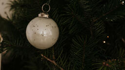 Christmas Ornament  image 2