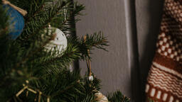 Christmas Tree Close-Up  image 1