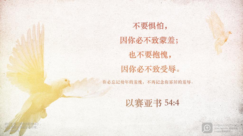 以赛亚书 54：4: 不要惧怕，因你必不致蒙羞；也不要抱愧，因你必不致受辱。你必忘记幼年的羞愧，不再记念你寡居的羞辱。