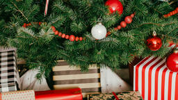 Christmas Presents under the Tree  image 1