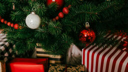 Christmas Presents under the Tree  image 13