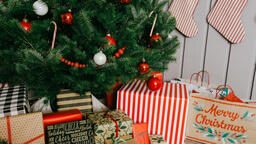 Christmas Presents under the Tree  image 15