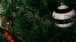Striped Christmas Ornament  image 1