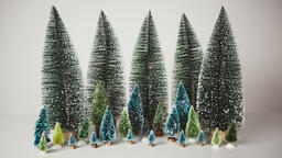 Bottle Brush Trees  image 3