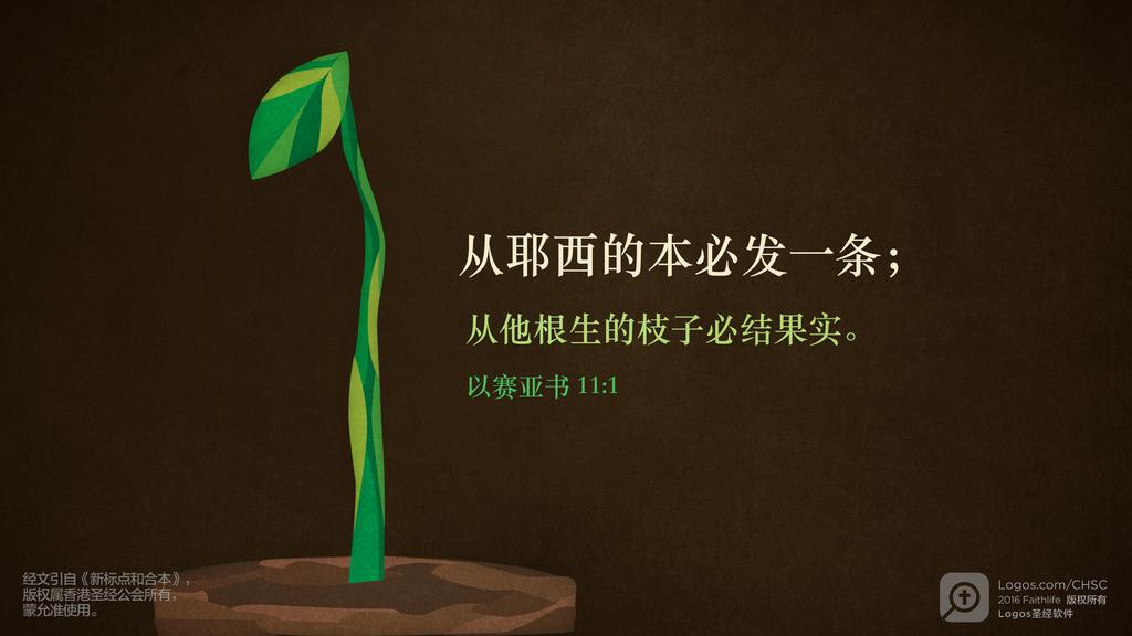 以赛亚书 11：1: 从耶西的本必发一条；从他根生的枝子必结果实。
