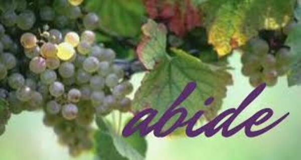Abide in Me