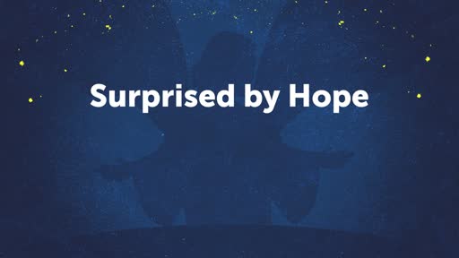 Surprised by Hope (2)