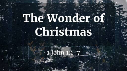 The Wonder of Christmas