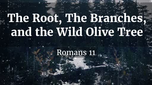 12-01-2019 AM Service - The Root, The Branches, and the Wild Olive Tree - Pastor Del Terpenning