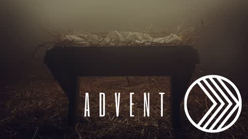 Exodus to Advent: Peace (Luke 2:14)