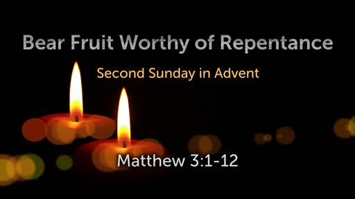 Bear Fruit Worthy of Repentance
