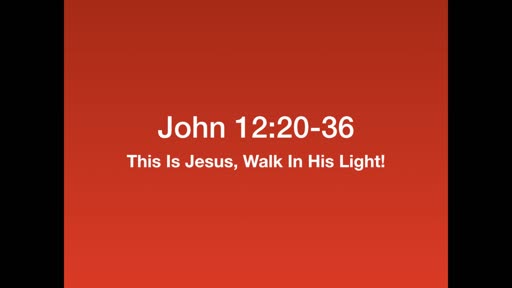This is Jesus, Walk In His Light