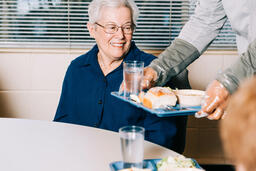 Volunteer Serving a Meal to an Elderly Woman  image 2